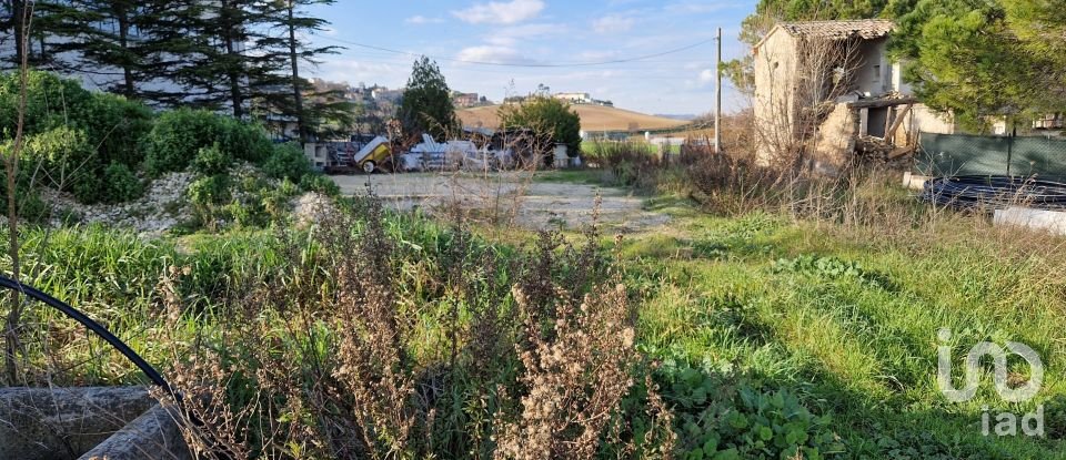 Land of 1,500 m² in Castelfidardo (60022)