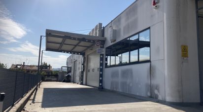 Warehouse of 800 m² in Monte Urano (63813)