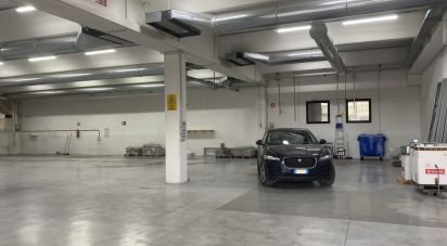 Capannone di 800 m² in Monte Urano (63813)