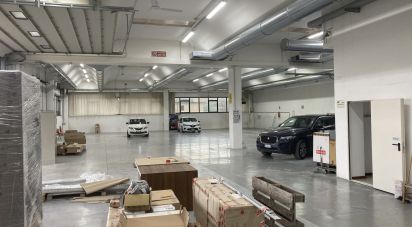 Warehouse of 800 m² in Monte Urano (63813)