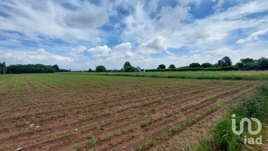 Agricultural land of 10,625 m² in Cesate (20020)