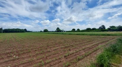 Terreno agricolo di 10.625 m² in Cesate (20020)