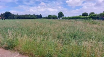 Terreno agricolo di 10.625 m² in Cesate (20020)