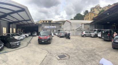 Varie superfici di 812 m² in Genova (16153)