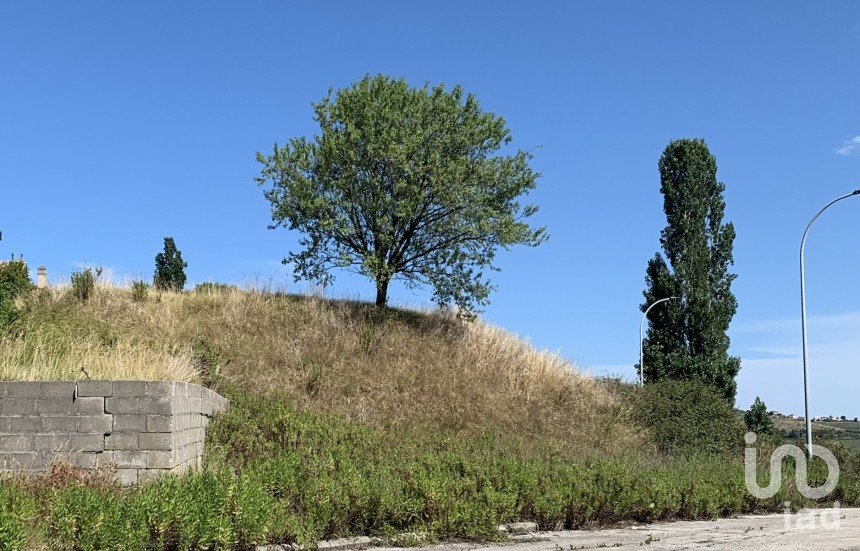 Land of 1,290 m² in Montegranaro (63812)