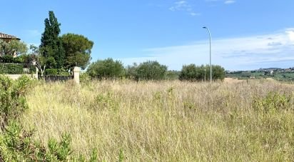 Land of 1,290 m² in Montegranaro (63812)