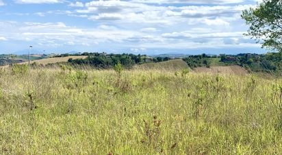 Land of 1,290 m² in Montegranaro (63812)