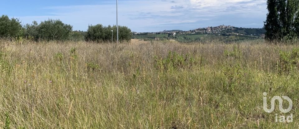 Land of 1,290 m² in Montegranaro (63812)