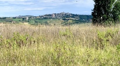 Land of 1,290 m² in Montegranaro (63812)