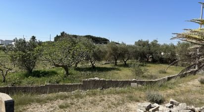 Farm 7 rooms of 185 m² in Martina Franca (74015)