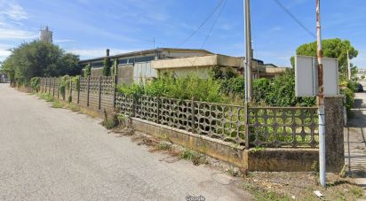 Capannone di 2.140 m² in San Pietro di Morubio (37050)