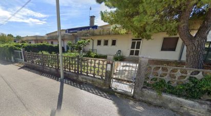 Warehouse of 2,140 m² in San Pietro di Morubio (37050)