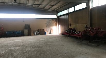 Capannone di 2.140 m² in San Pietro di Morubio (37050)