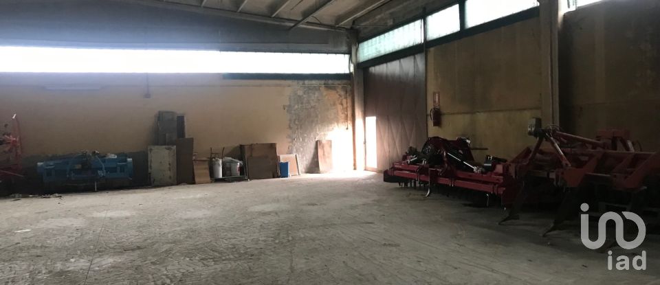 Capannone di 2.140 m² in San Pietro di Morubio (37050)