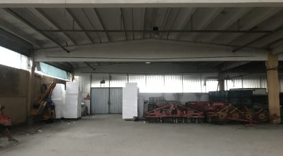 Warehouse of 2,140 m² in San Pietro di Morubio (37050)