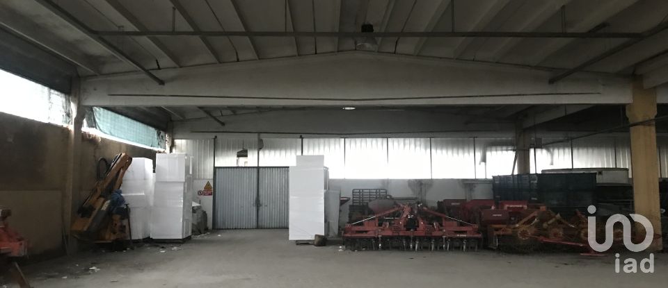 Warehouse of 2,140 m² in San Pietro di Morubio (37050)