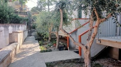 Three-room apartment of 80 m² in Monte Porzio (61040)