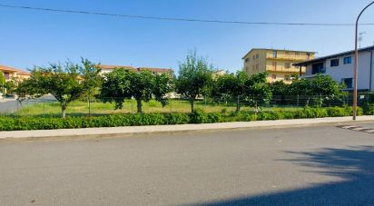 Land of 405 m² in Serra d'Aiello (87030)