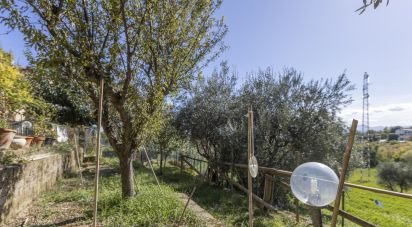 Four-room apartment of 110 m² in Monte San Vito (60037)