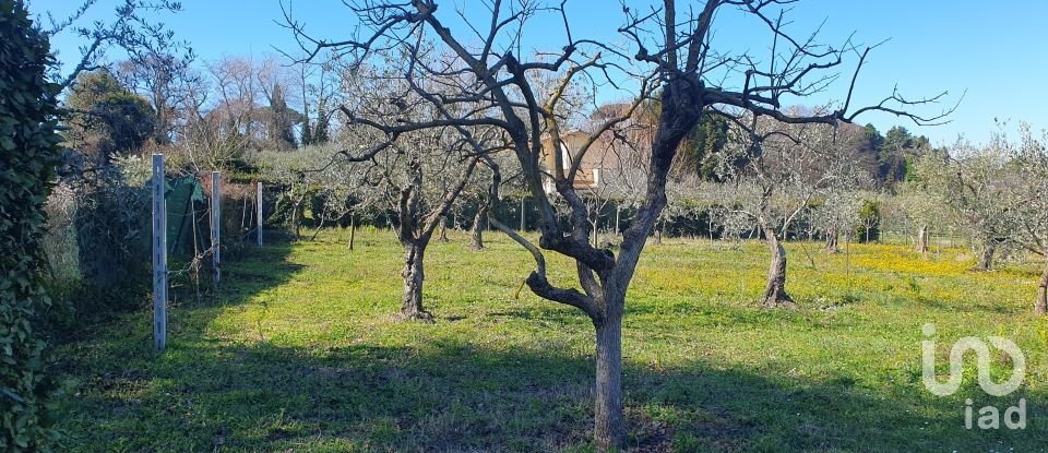 Land of 9,457 m² in Rocca di Papa (00040)