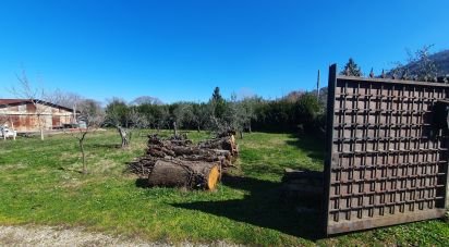 Terreno di 9.457 m² in Rocca di Papa (00040)