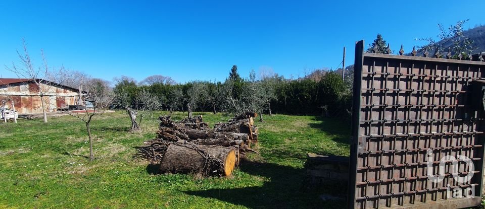 Terreno di 9.457 m² in Rocca di Papa (00040)