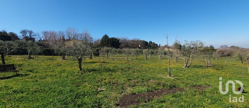 Land of 9,457 m² in Rocca di Papa (00040)