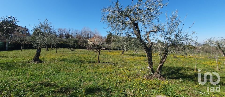 Land of 9,457 m² in Rocca di Papa (00040)