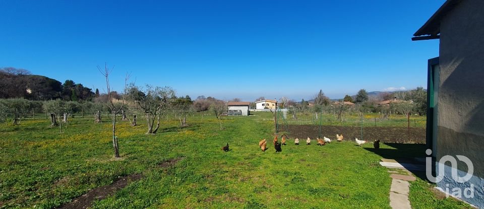 Land of 9,457 m² in Rocca di Papa (00040)