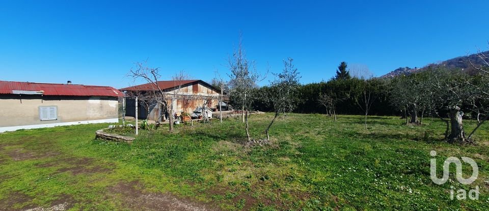 Land of 9,457 m² in Rocca di Papa (00040)