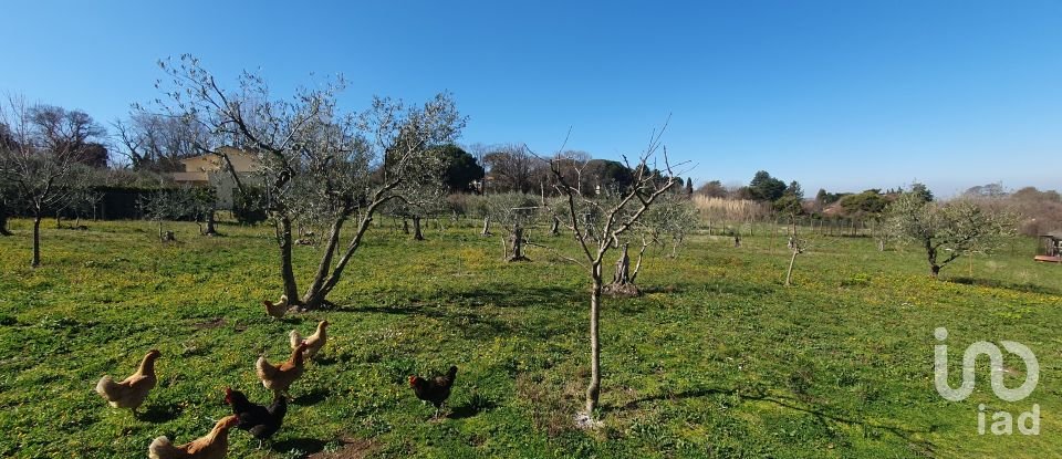 Terreno di 9.457 m² in Rocca di Papa (00040)