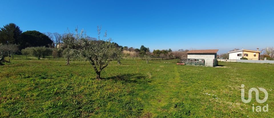 Terreno di 9.457 m² in Rocca di Papa (00040)