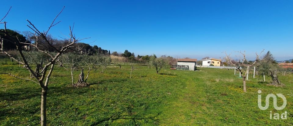 Terreno di 9.457 m² in Rocca di Papa (00040)