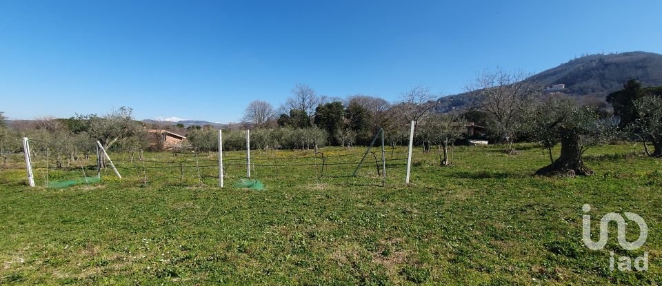 Terreno di 9.457 m² in Rocca di Papa (00040)