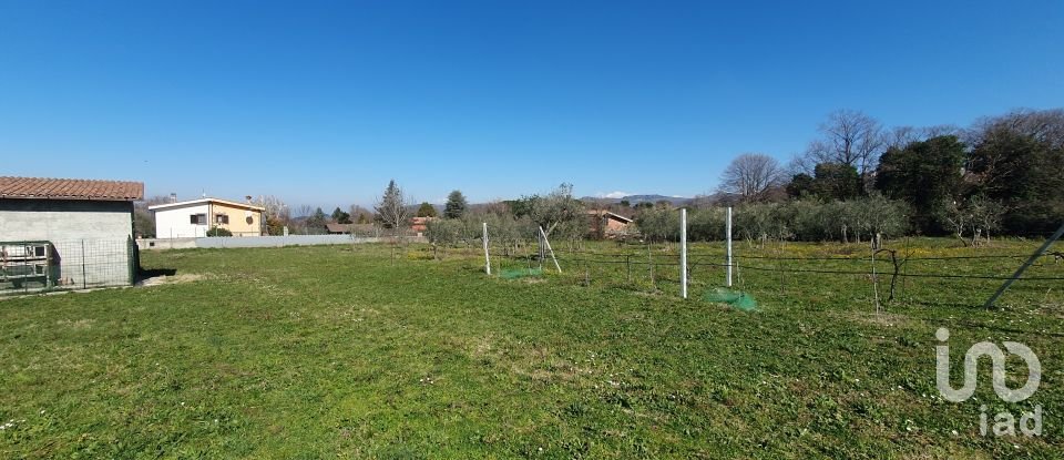 Terreno di 9.457 m² in Rocca di Papa (00040)