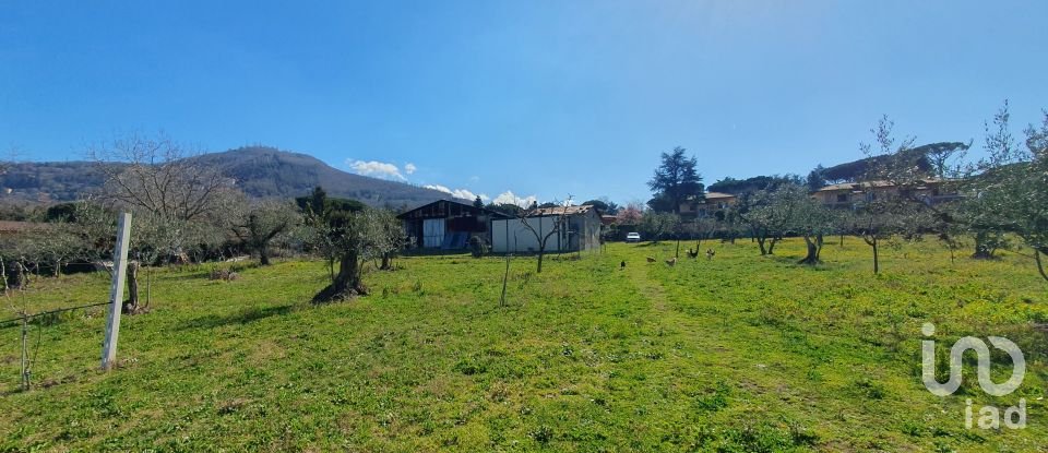 Terreno di 9.457 m² in Rocca di Papa (00040)