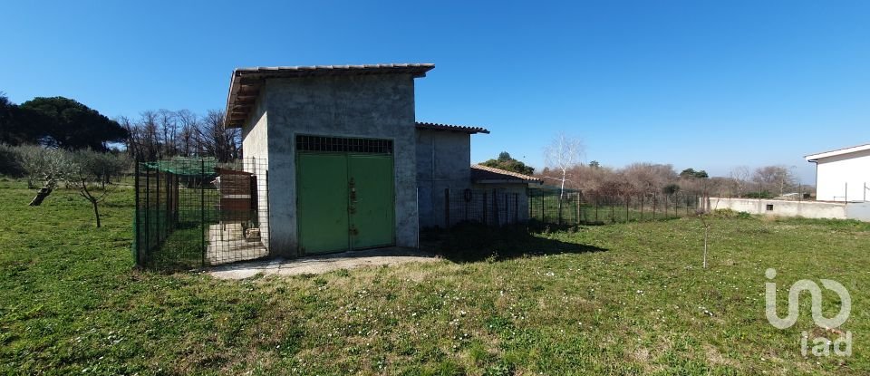 Land of 9,457 m² in Rocca di Papa (00040)