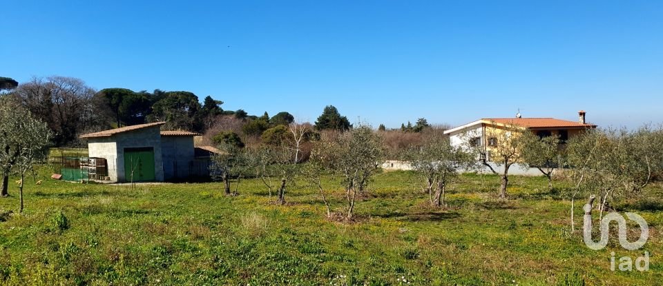 Land of 9,457 m² in Rocca di Papa (00040)