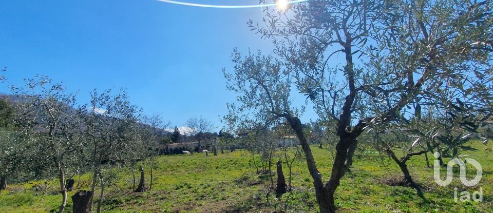 Land of 9,457 m² in Rocca di Papa (00040)