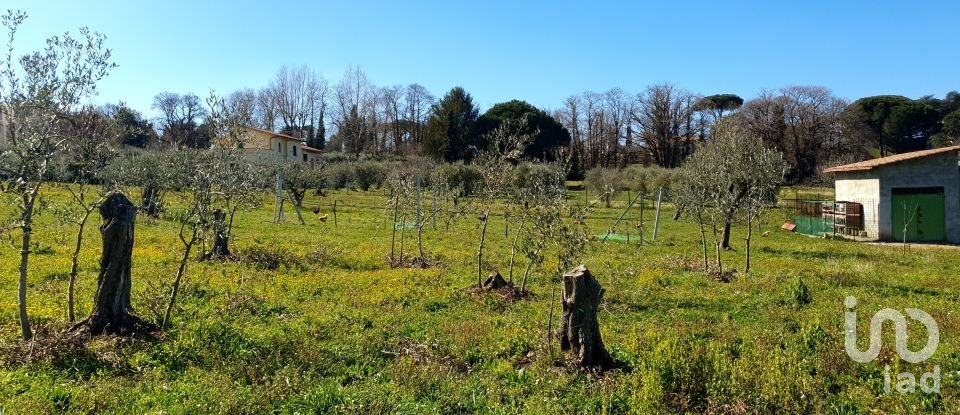 Land of 9,457 m² in Rocca di Papa (00040)