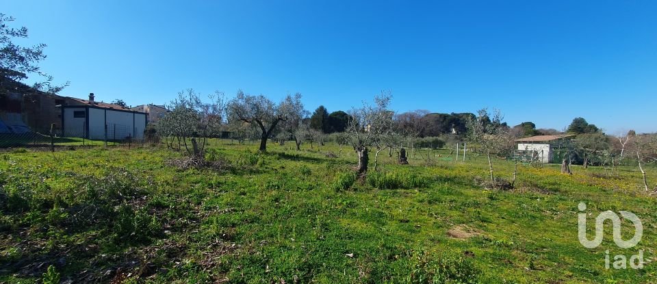 Land of 9,457 m² in Rocca di Papa (00040)