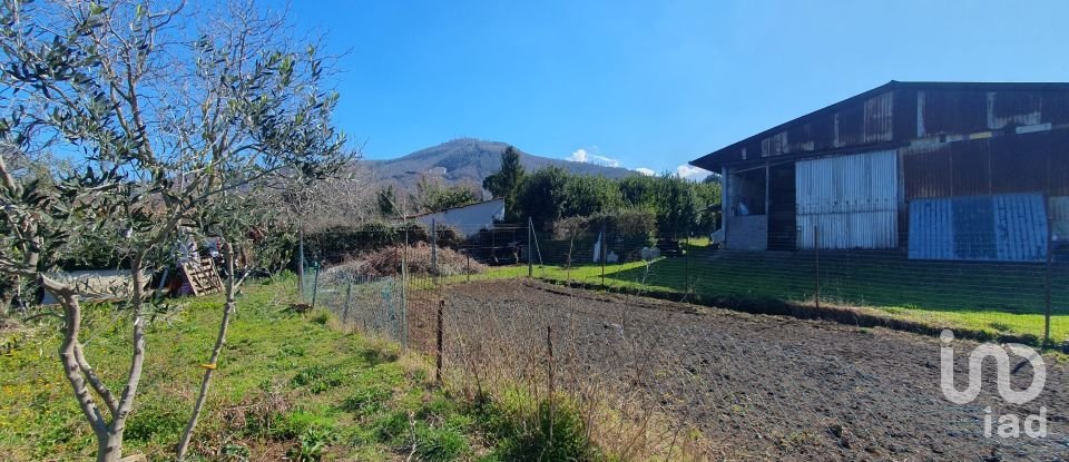 Land of 9,457 m² in Rocca di Papa (00040)