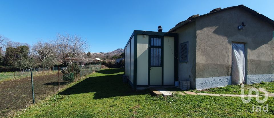 Terreno di 9.457 m² in Rocca di Papa (00040)