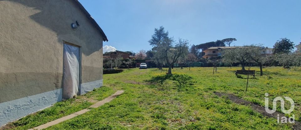 Terreno di 9.457 m² in Rocca di Papa (00040)