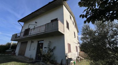 Casa indipendente 10 locali di 280 m² in Monte Giberto (63846)