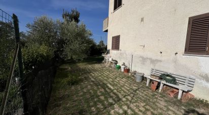 Town house 10 rooms of 280 m² in Monte Giberto (63846)