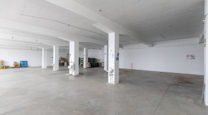 Ufficio di 650 m² in Montegranaro (63812)