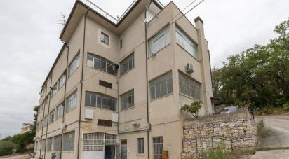 Warehouse of 750 m² in Montegranaro (63812)