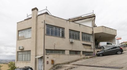 Capannone di 750 m² in Montegranaro (63812)