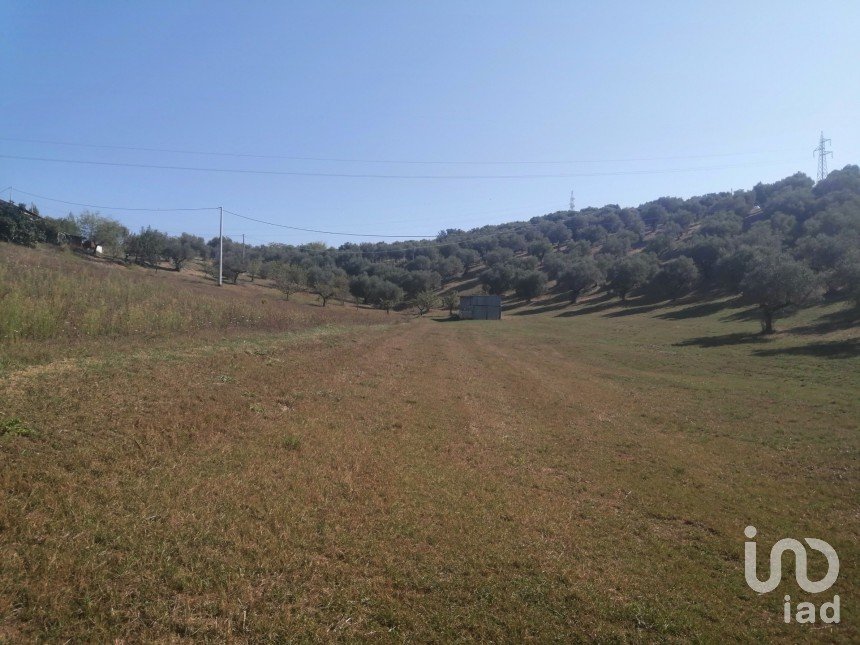 Land of 41,000 m² in Moscufo (65010)